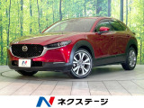 禁煙車 純正SDナビ 全周囲カメラ 衝突被害軽減システム パワーシート
