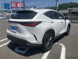 NX 250 バージョンL 