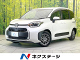 禁煙車 両側電動ドア 後席モニター 全周囲カメラ 100V電源