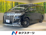 BIG-X11型ナビ 両側電動ドア バックカメラ 衝突被害軽減システム