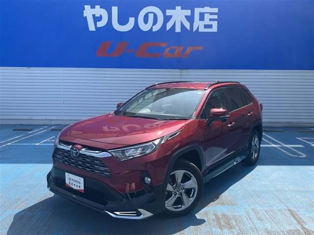RAV4 2.0 G 4WD