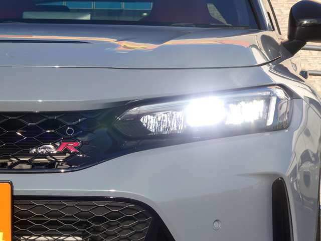 ホンダ シビックタイプR 2.0 純正OPカーボンテールゲートスポイラー の