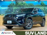 パノラマサンルーフ デジタルインナーミラー 10型ナビ 全周囲カメラ