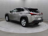 UX 250h 