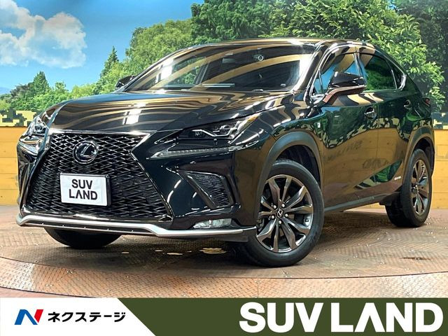 NX 300h Fスポーツ