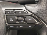 前方の車との車間を設定し、スピードを上げたり緩めたりを自動で行ってくれる追尾式の「レーダークルーズ」。上級装備の一つです!高級車にしかつかない嬉しい機能です。