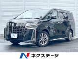 ツインムーンルーフ 後席モニター 純正9インチナビ バックカメラ