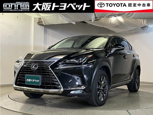 NX 300h Iパッケージ