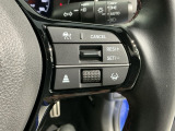クルーズコントロールを装備しています。高速道路などで一定の速度で走ってくれるので運転が楽ですよ!速度を設定できますので、スピードの出しすぎにも注意できます。