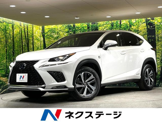 NX 300h Iパッケージ