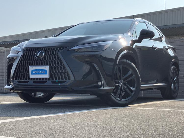 NX 250 バージョンL 