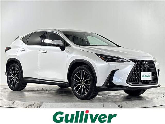 NX 250 バージョンL 本革シート 修復歴無し