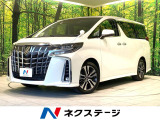 禁煙車 サンルーフ 純正9インチナビ バックカメラ 後席モニター