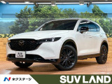 10型ナビ 全周囲カメラ レーダークルーズ ブラインドスポットモニター
