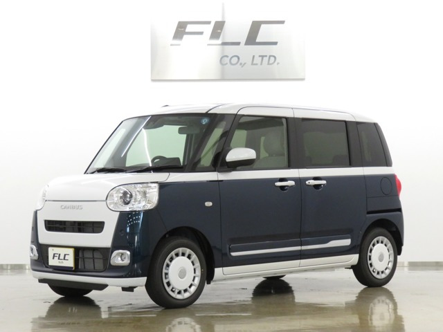ムーヴキャンバス  ストライプス G