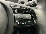 アクセルから足を離しても設定したスピードを保ち走行し、高速道路での疲労軽減に役立つクルーズコントロール付きです!