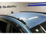 四季を通じてのレジャーや長距離ドライブなどに役立つルーフレールを装備。