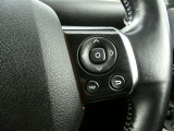 ステアリングスイッチで車両情報を切り替えて必要な情報を確認したりできます。