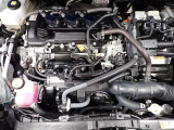 エンジンルームも隅々まで綺麗に洗浄しています
