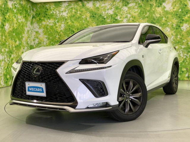 NX 300h Fスポーツ