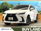 サンルーフ フルエアロ 14型メーカナビ 全周囲カメラ レーダークルーズ