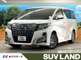 両側電動スライドドア 純正SDナビ バックカメラ レーダークルーズ