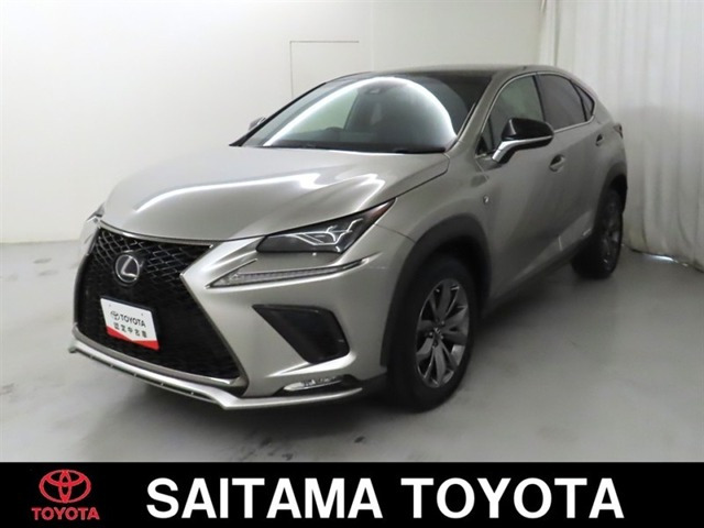 NX 300h Fスポーツ 