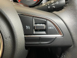 全車速追従機能付ACC(アダプティブクルーズコントロール)付