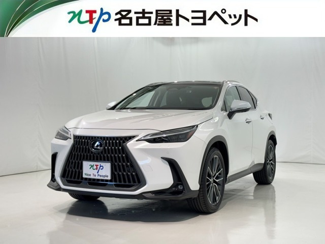 NX 250 バージョンL NX 250 バージョンL