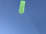 ボンネットにキズあり