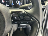 前方の車との車間を設定し、スピードを上げたり緩めたりを自動で行ってくれる追尾式の「レーダークルーズ」。上級装備の一つです!高級車にしかつかない嬉しい機能です。