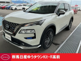 降ヒョウの被害を受けボディ等凹みました、それを修理した車両です