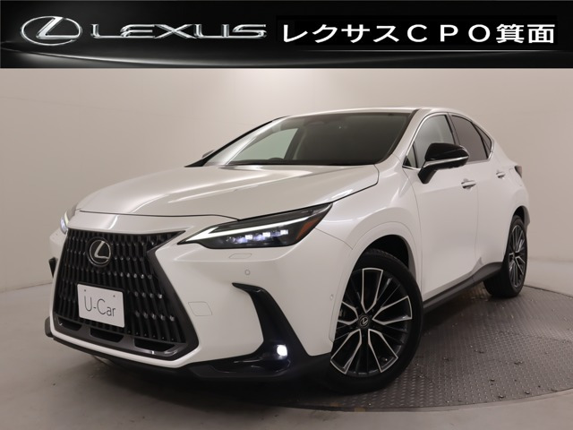 NX450hプラス バージョンL 4WD