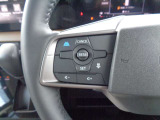 日産の先進技術プロパイロットが付いてます。操作も簡単です。