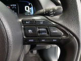 ステアリング右側には、運転支援機能を手元で操作できるスイッチ類を配置しています