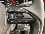 前方の車との車間を設定し、スピードを上げたり緩めたりを自動で行ってくれる追尾式の「レーダークルーズ」。上級装備の一つです!高級車にしかつかない嬉しい機能です。