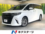 純正14型ナビ 全周囲カメラ 両側電動ドア レーダークルーズ 禁煙車