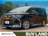 禁煙車 モデリスタエアロ フリップダウンモニター