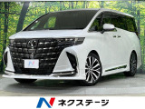 モデリスタエアロ&アルミ 左右独立ムーンルーフ 14型メーカーナビ