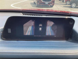 サイドカメラだけの映像です。どこまで寄れるか確認出来ます。