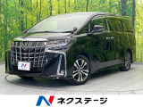 サンルーフ 両側電動ドア フリップダウンモニター