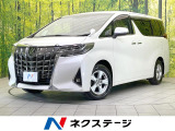 両側電動ドア 後席モニター バックカメラ 衝突被害軽減システム レーダー