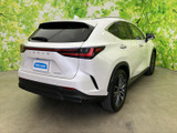 NX 250 バージョンL 