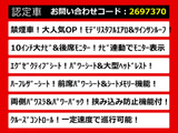 アルファード 2.5 S Cパッケージ モデリスタエアロ サンルーフ 10インチナビ