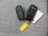 ムーヴキャンバス  ストライプス G