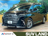 モデリスタエアロ 左右独立ルーフ 後席モニター ユニバーサルステップ