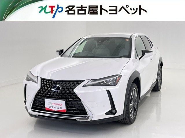 UX 250h バージョンC