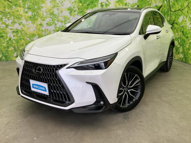 NX 250 バージョンL 