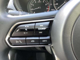 ステアリング左側にはオーディオコントロールスイッチを搭載。走行中でも簡単に音量の上げ下げ、曲の送り戻し、モードの切り替えが可能です。クイックに切り替えてお好みの音楽で楽しいドライブを!