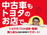 ライズ 1.0 Z 